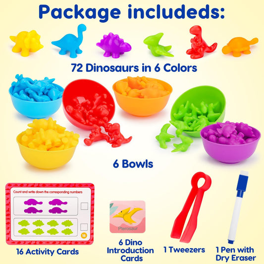 Tsomtto Counting Dinosaurs learning cards support counting practice with dinosaur visuals.