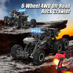 Tubokoro RC car outdoor-terrain test demonstrates durable performance.