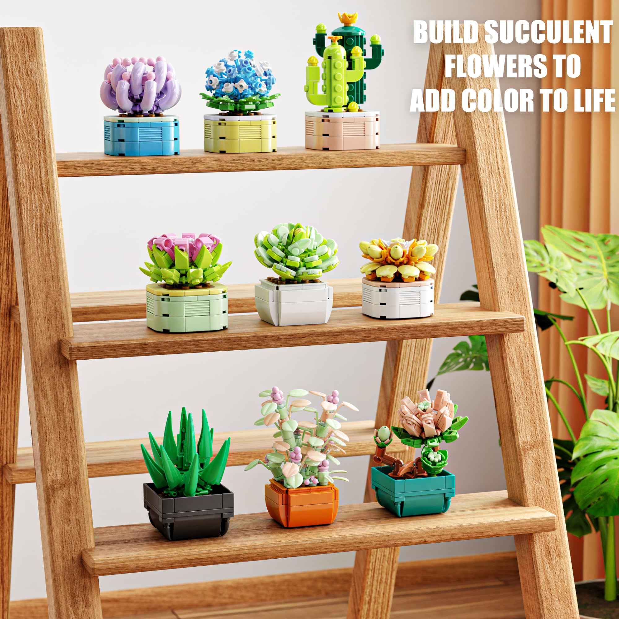 TYCOLE vibrant hues showcase colorful, maintenance-friendly decor.