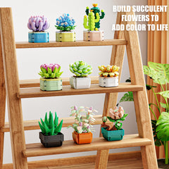 TYCOLE vibrant hues showcase colorful, maintenance-friendly decor.