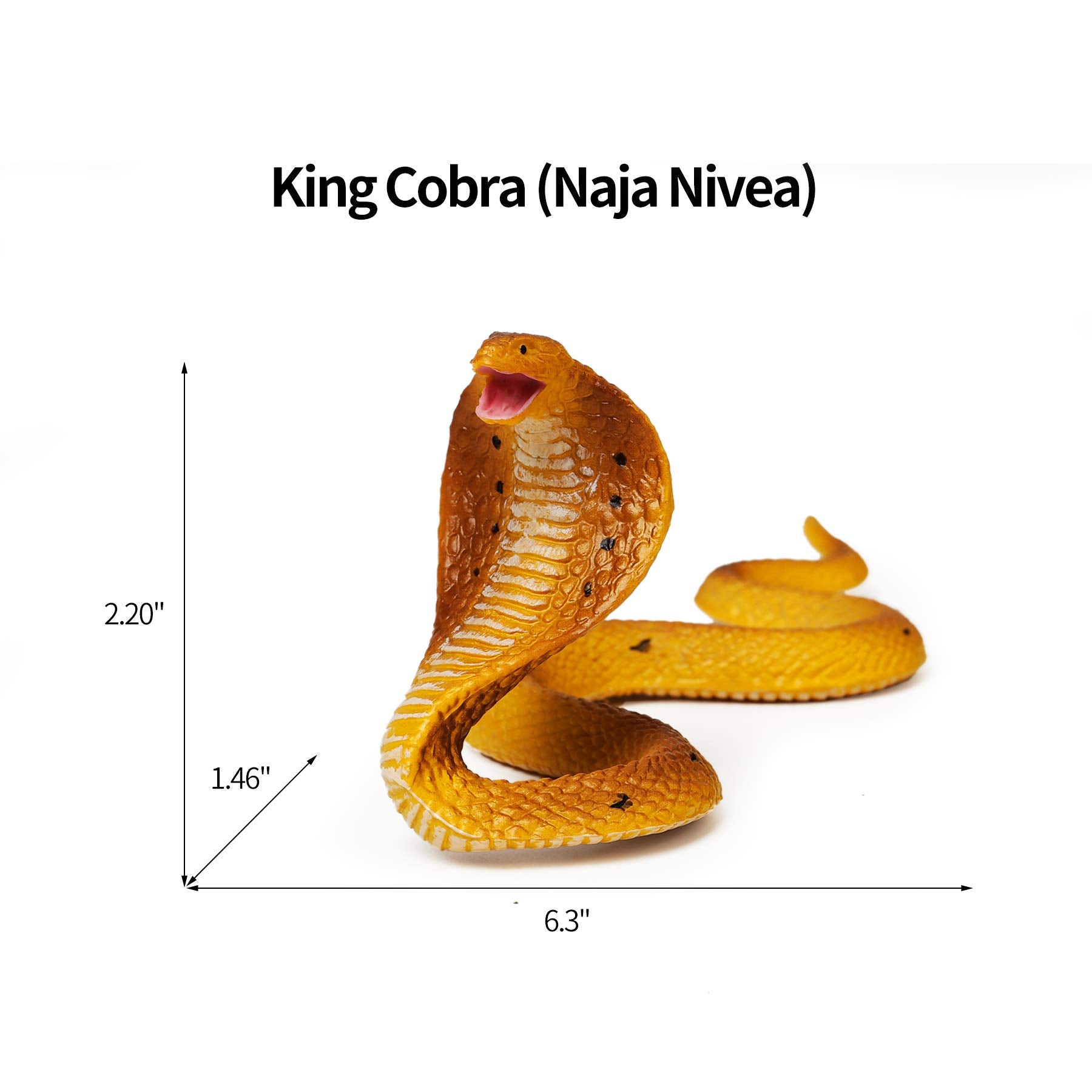 UANDME california kingsnake figurine, durable decor piece for classrooms and homes