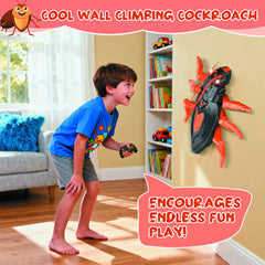 Ufilni Wall Crawler cockroach climbing a wall shows wall-climbing action