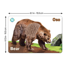 UGOS touch and feel flashcards car illustration for vehicle vocabulary.