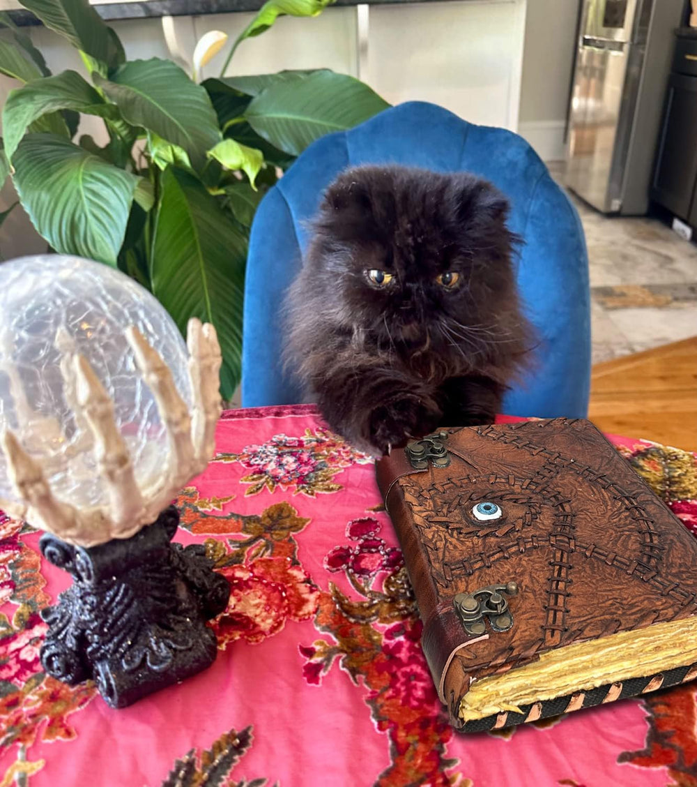 ULCH gift-ready packaging image implying ready-to-gift spooky present