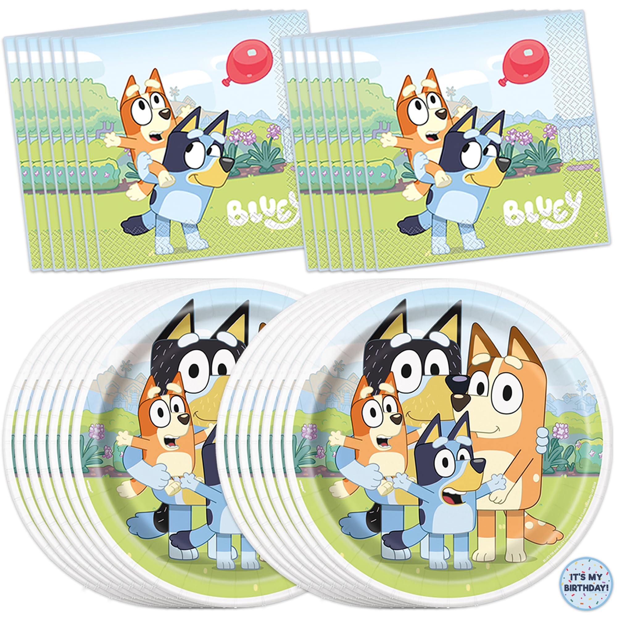 Unique Bluey plates 9-inch for easy, mess-free party meals