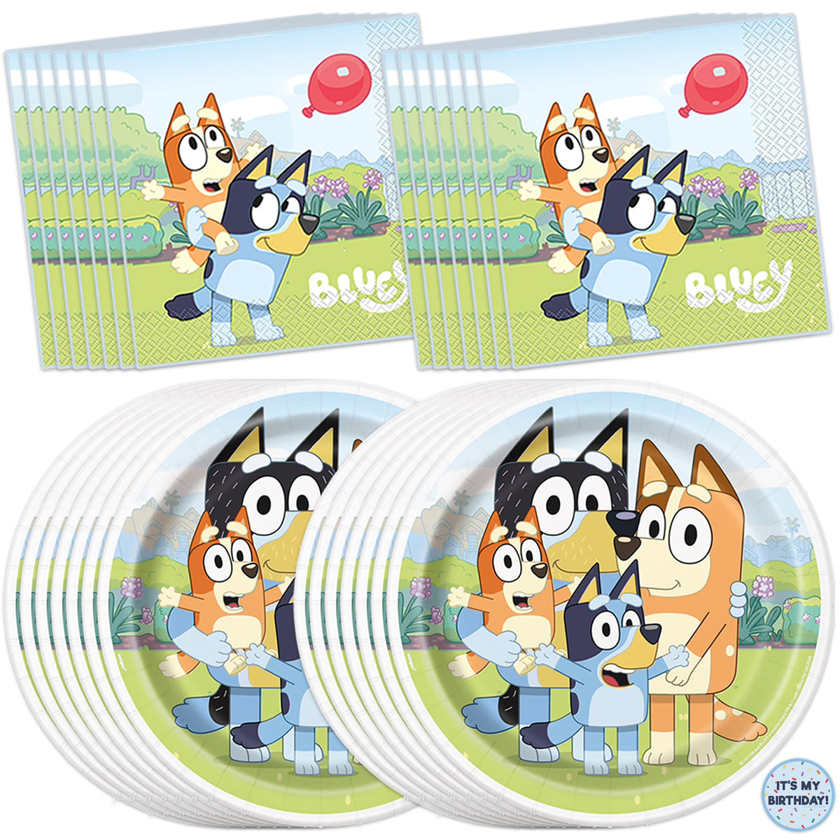 Unique Bluey plates 9-inch for easy, mess-free party meals
