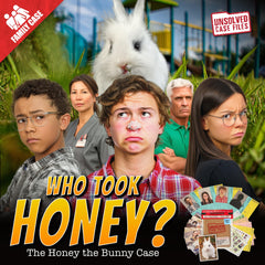 Clue cards from Honey the Bunny kit are laid out for engaging detective work.