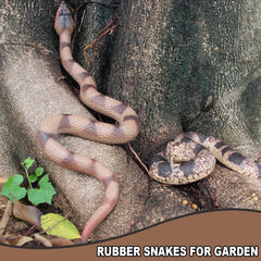 Upitry rubber snakes serve as office or classroom decorative props.