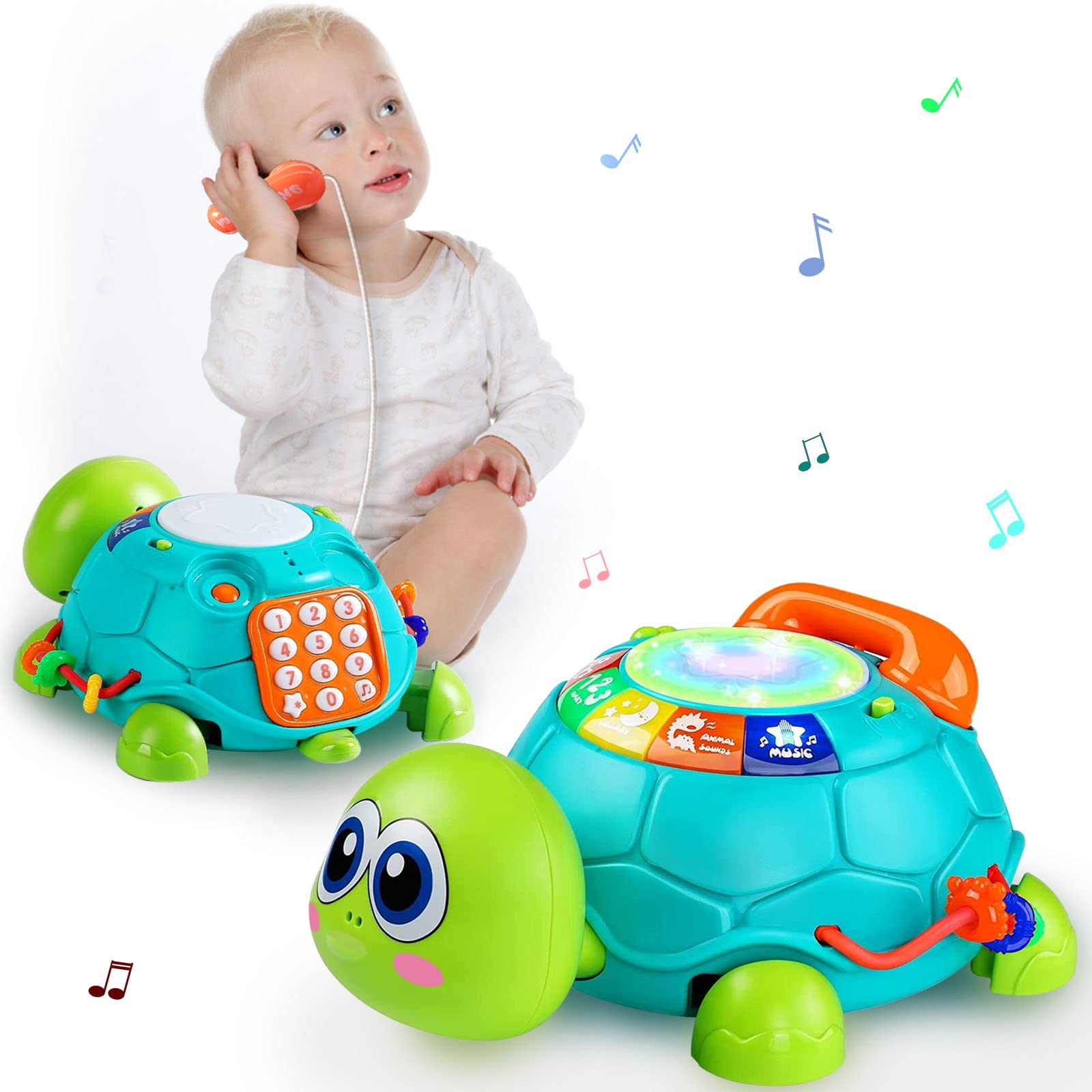 Ussybaby turtle gift-ready packaging suitable for gifting