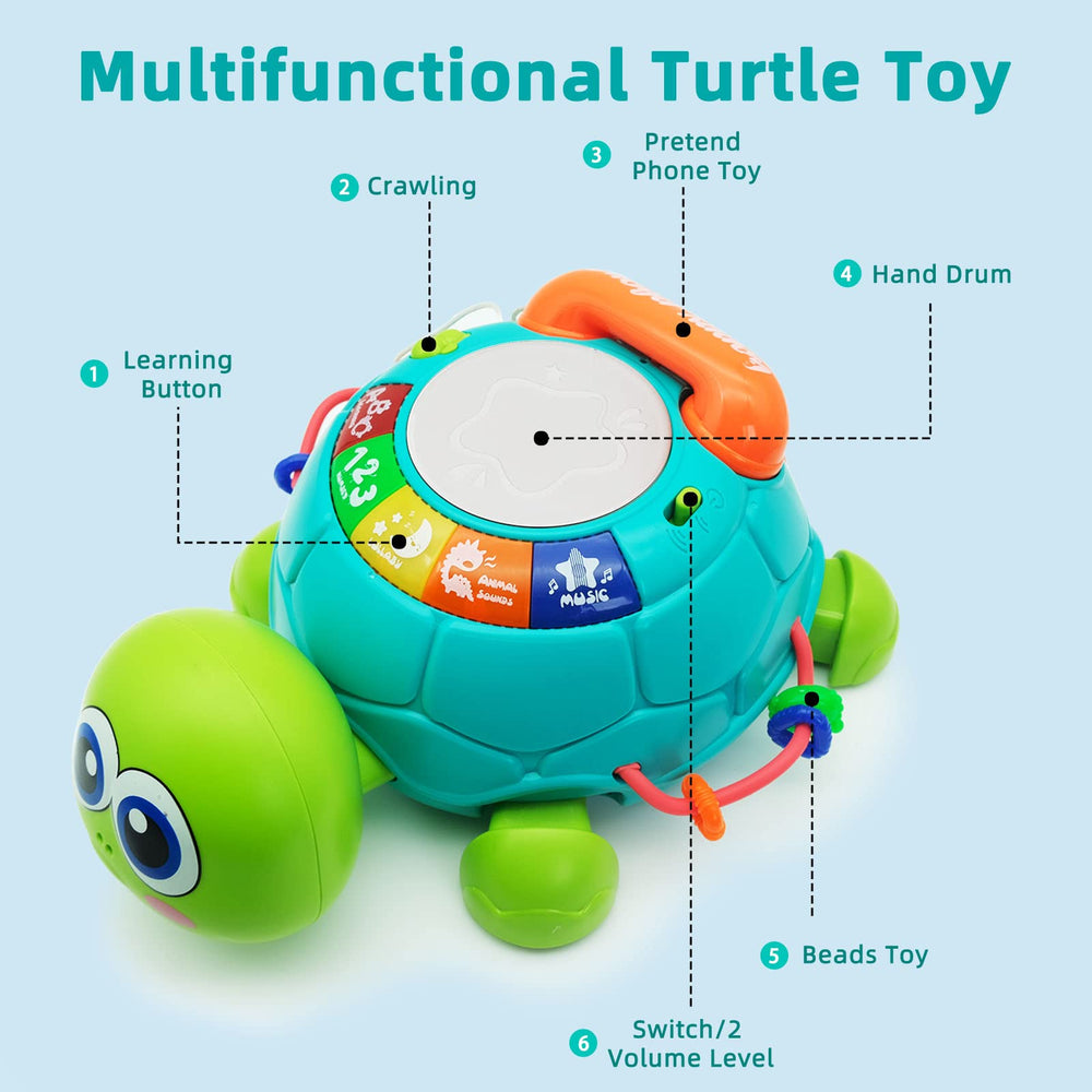 Ussybaby turtle toy showing vibrant light-up features during play