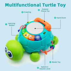 Ussybaby turtle toy showing vibrant light-up features during play