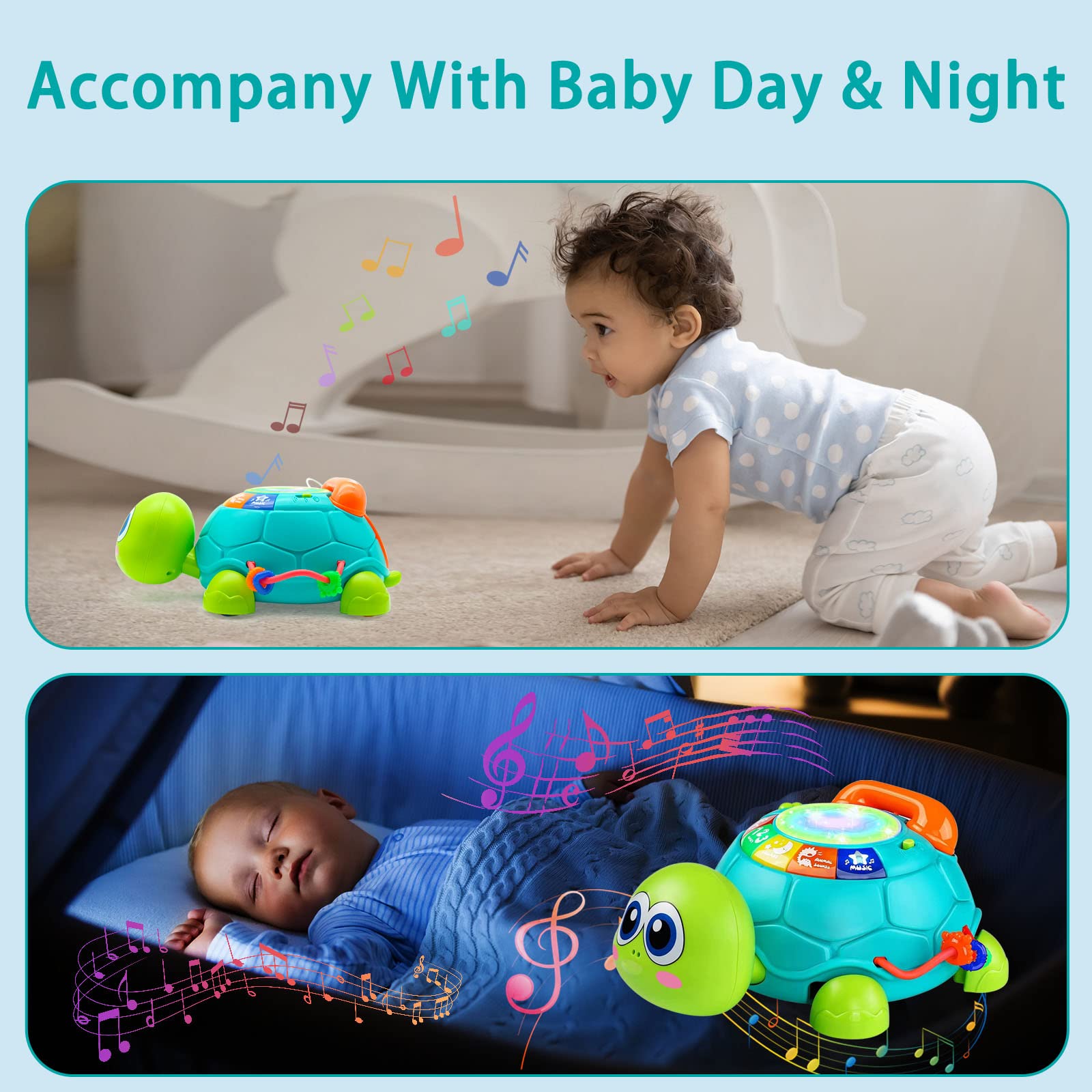 Ussybaby turtle safety design made from BPA-free materials