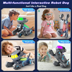 VATOS robot dog performing dance mode to music.