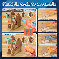 VEAIS Instruction Booklet with models: guides varied constructions and achievement.