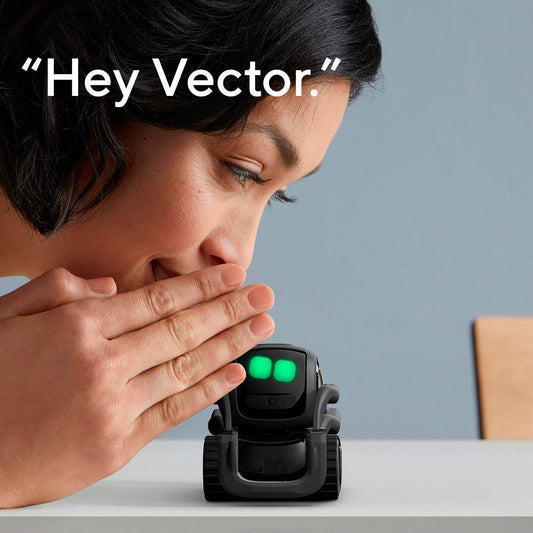 Vector captures on-demand photos to save memories.