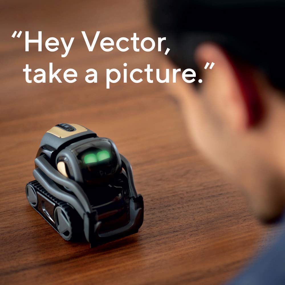 Vector self-charges and navigates safely around your home.