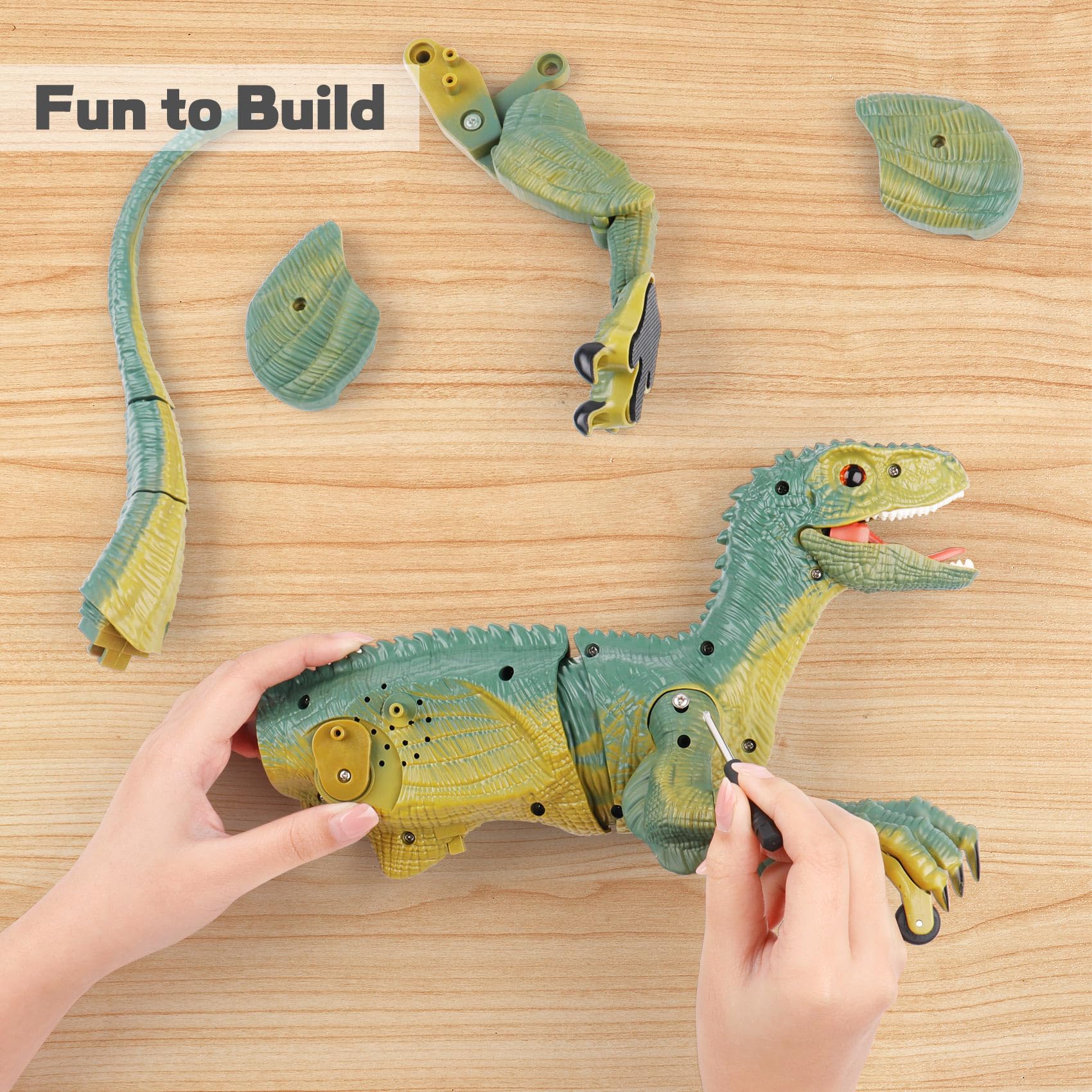 VERTOY dino features flexible joints for lifelike walking and posing.