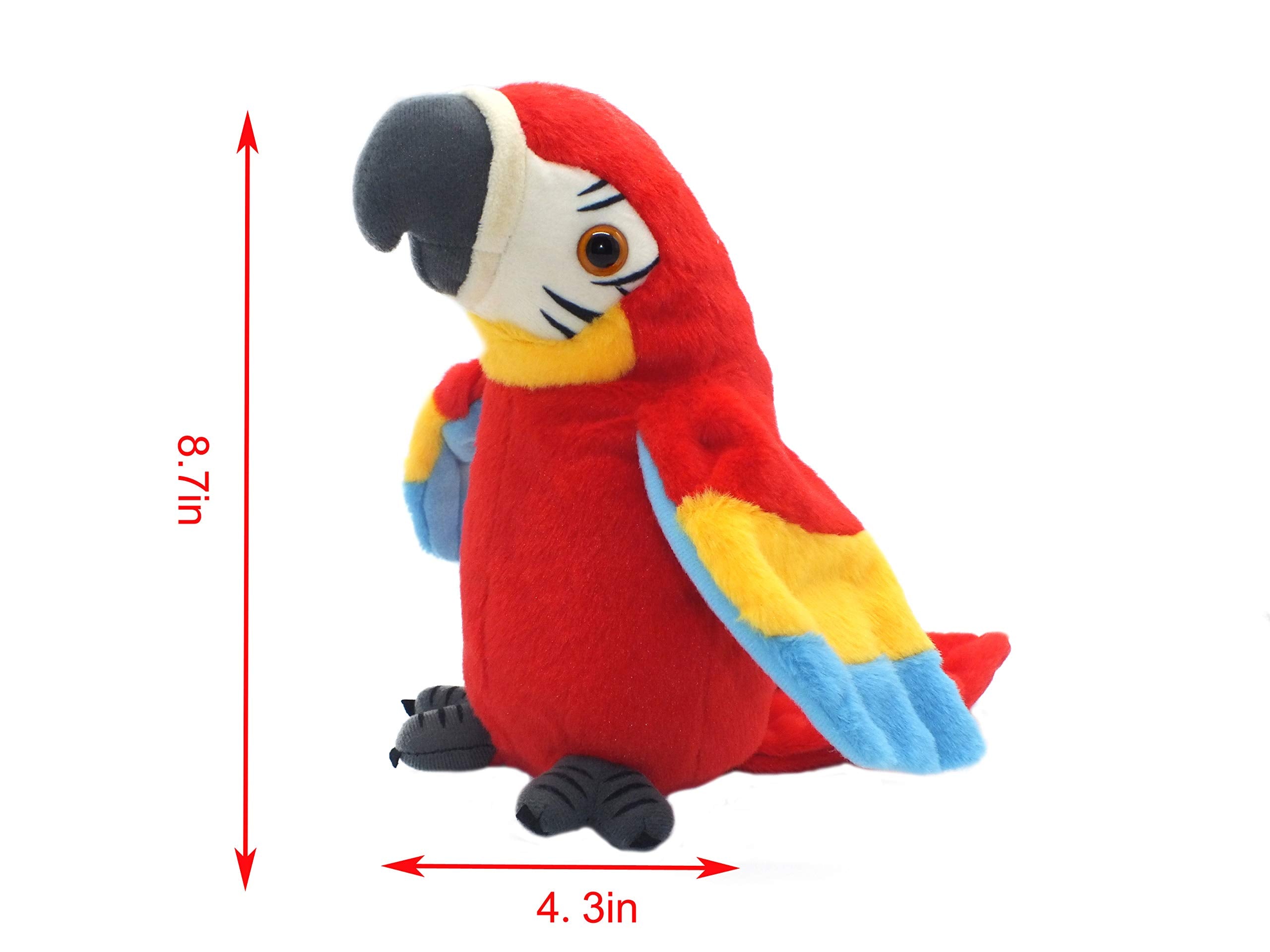 Vincilee Talking Parrot battery compartment for easy on/off control.