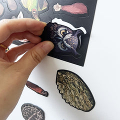 VMNlooking diverse magnetic pieces invite custom monster design.