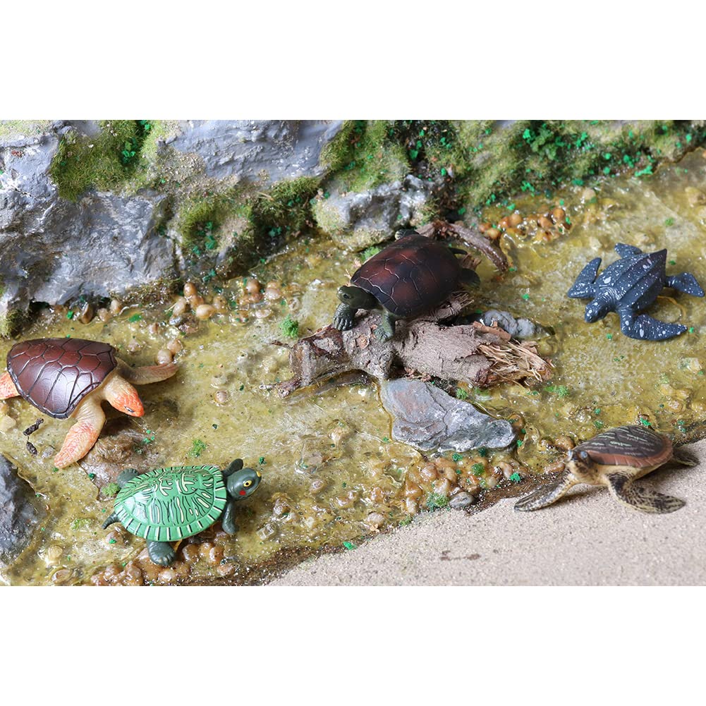 Volnau green sea turtle figure, realistic detail supports early science exploration.