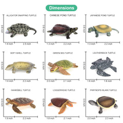 Volnau hawksbill turtle figure, lifelike detail for imaginative ocean play.