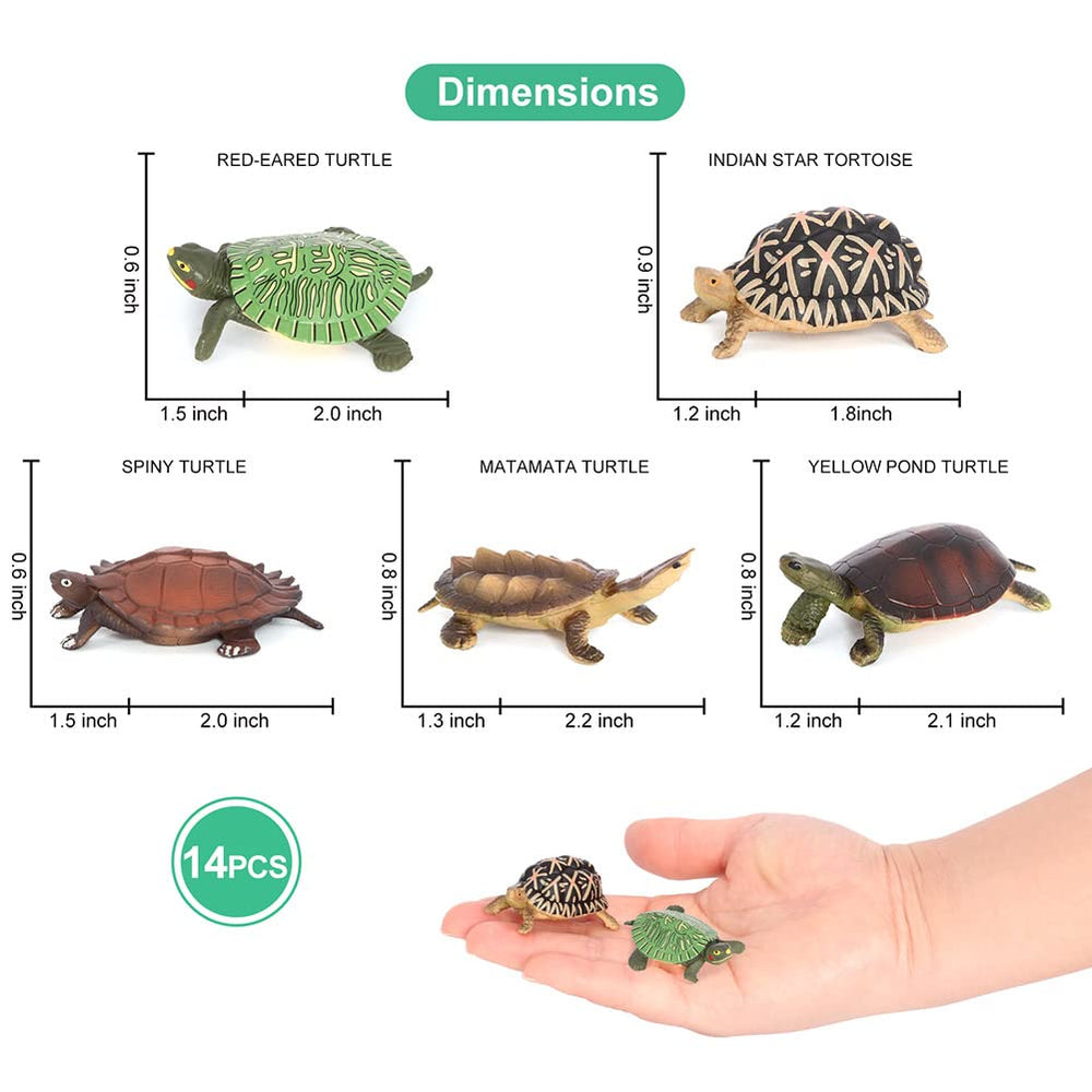 Volnau loggerhead turtle figure, colorful, safe toy for classroom storytelling.
