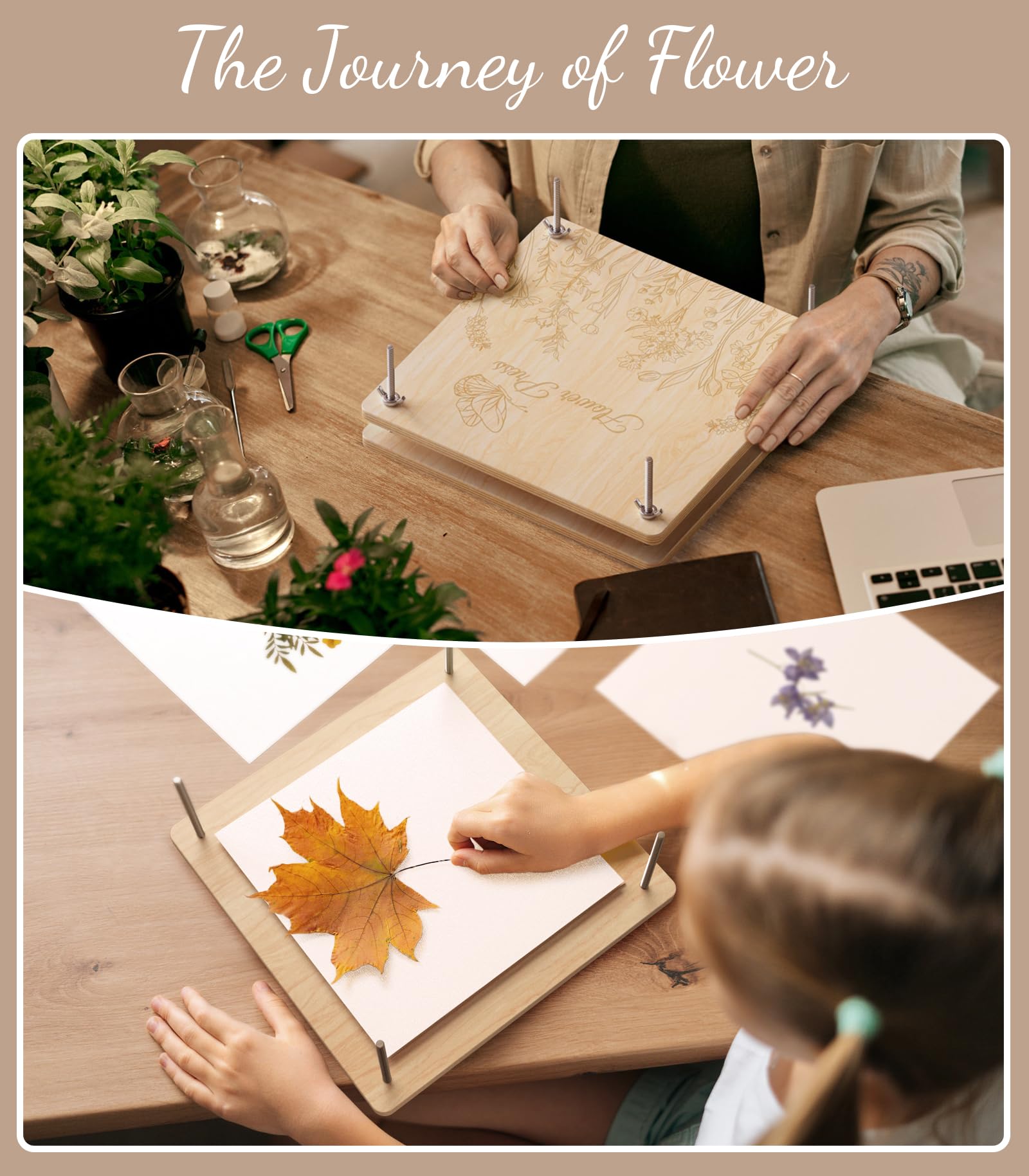 Wakhow gift-ready packaging ideal for nature lovers and crafters