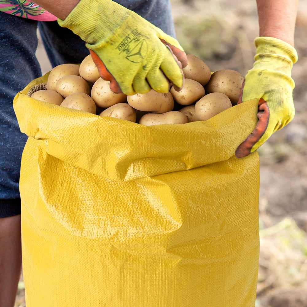 WarmFarm potato sack race bags 12-pack ready for group events and backyard parties.