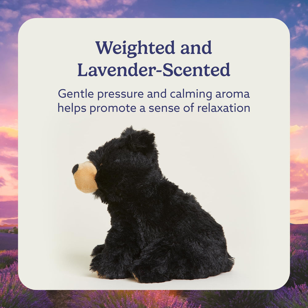 Warmies Black Bear microwave heating usage demonstrates quick warmth
