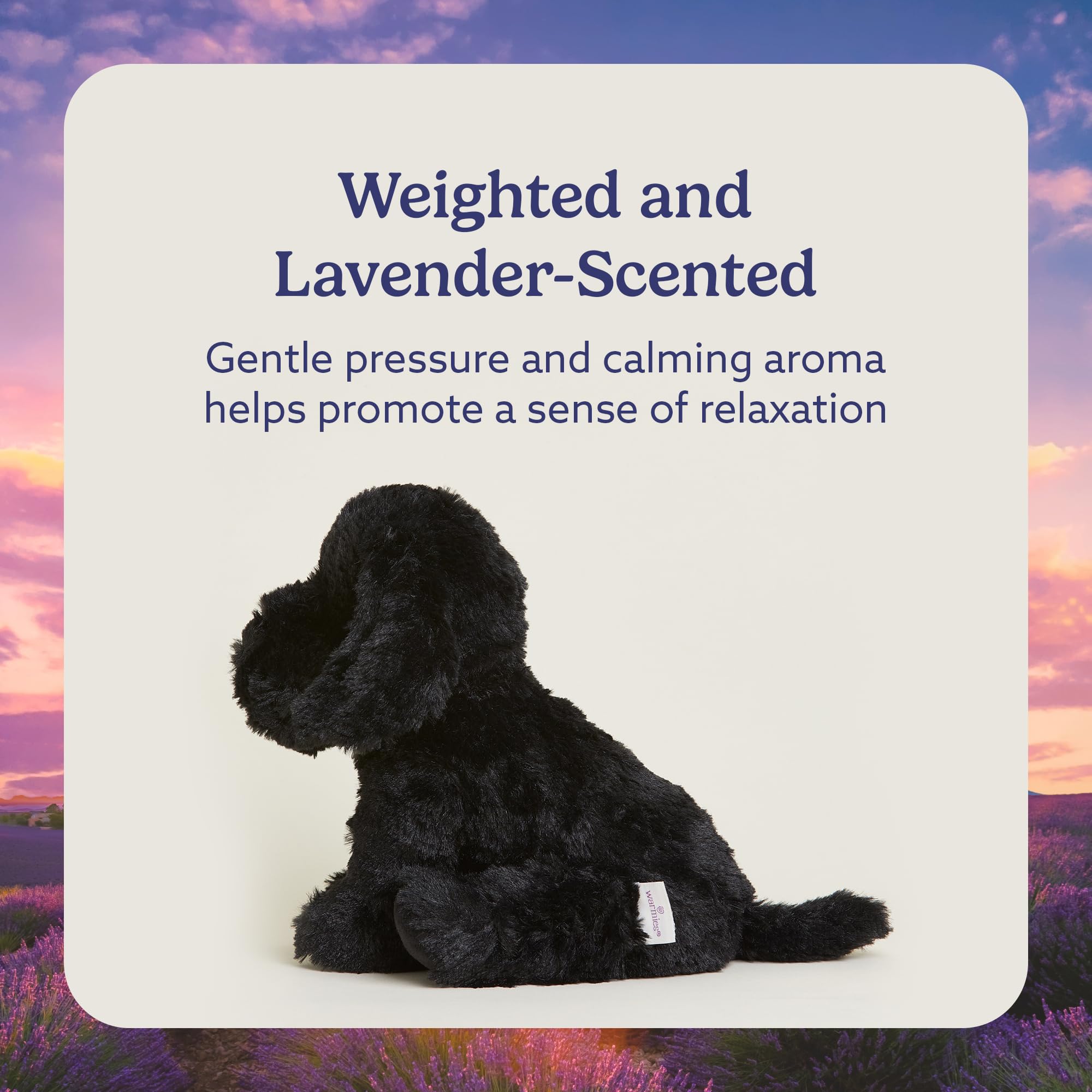 Warmies Black Labrador cooling option for warm days.