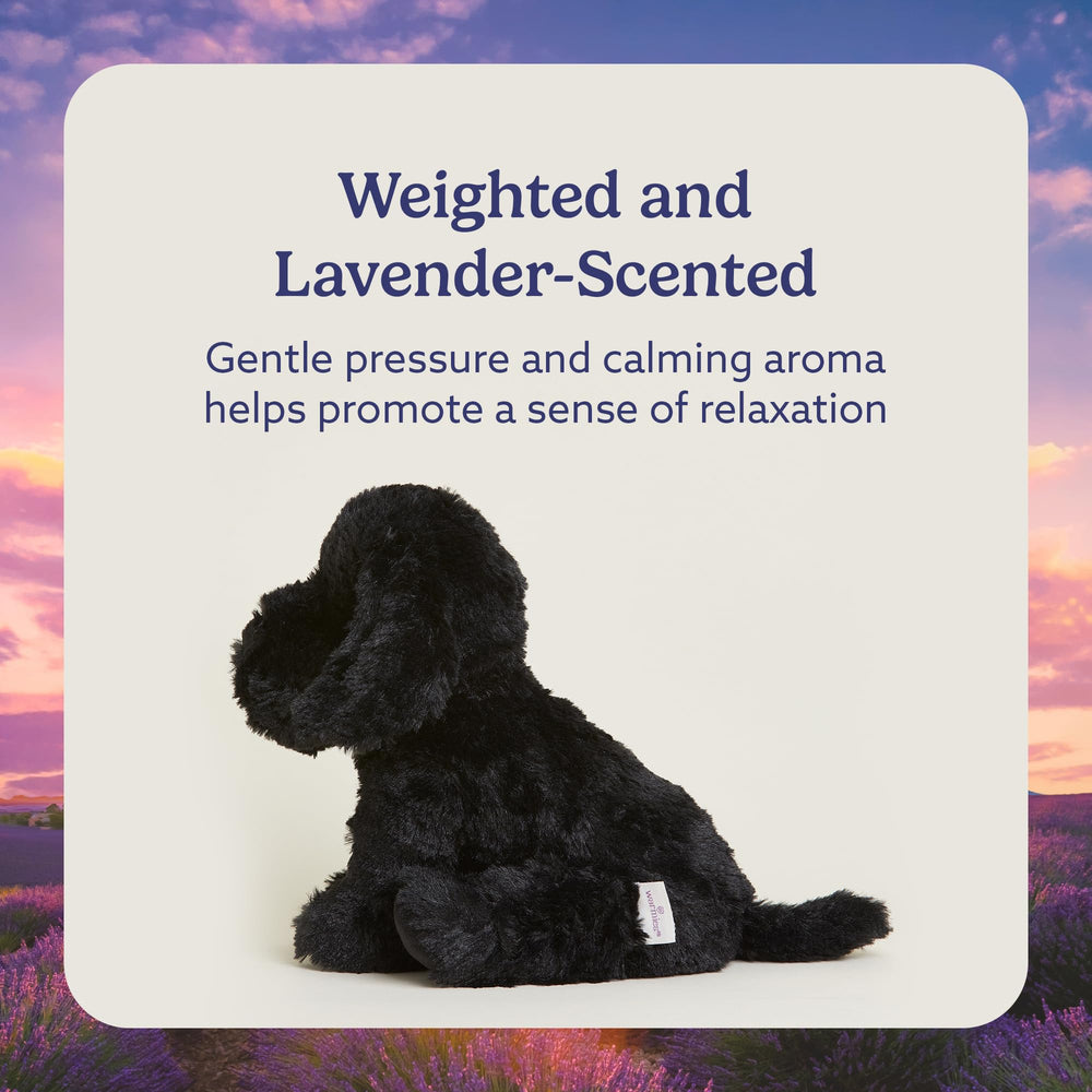 Warmies Black Labrador cooling option for warm days.