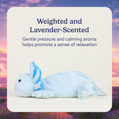 Warmies Blue Axolotl microwavable heat plush for comforting warmth on chilly evenings.