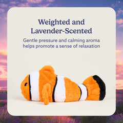 Warmies Clown Fish first-use setup shows simple heating and cuddly readiness.