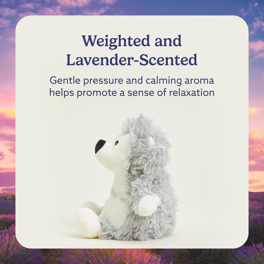 Warmies Hedgehog weighted plush offers a comforting hug during snuggles