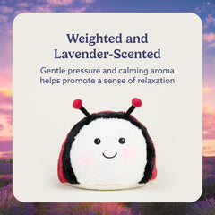 Warmies Ladybug lavender-scented plush offering gentle aroma during bedtime.