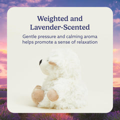 Warmies Sheep lavender-filled plush with calming aroma for relaxation.