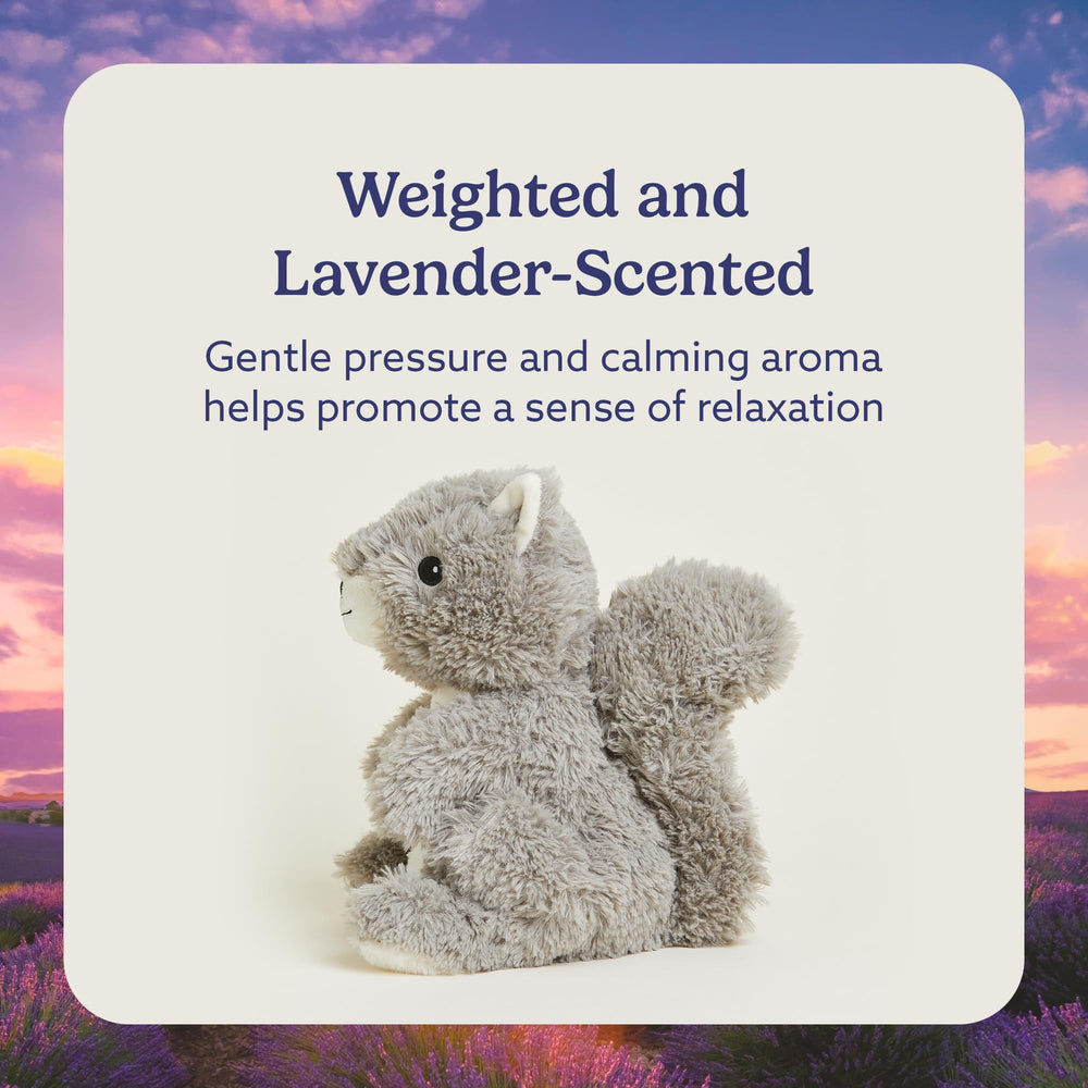 Warmies Squirrel scented with lavender enhances calm before bed.