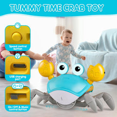 WAVISA Crawling Crab obstacle sensor helps guide crawling exploration.