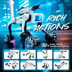 WEACFUS robot dog wheels mode showing agile movement on floor