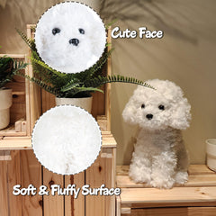 WEIGEDU White Toy Poodle face detail close-up shows lifelike features