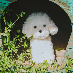 WEIGEDU White Toy Poodle safety-tested materials for peace of mind