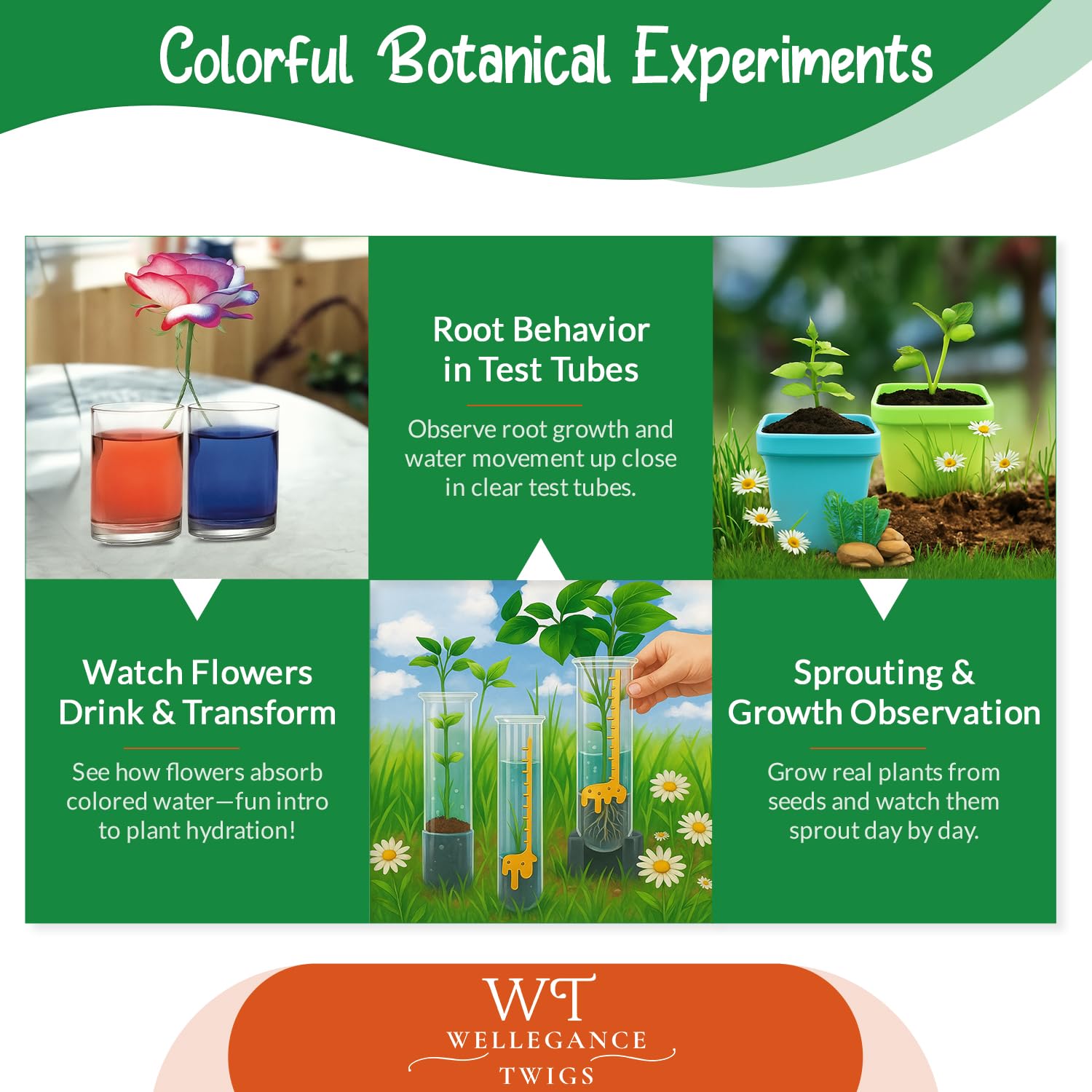 Wellegance Twigs all-in-one lab kit shown with magnifier and tubes.