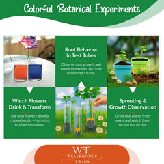 Wellegance Twigs all-in-one lab kit shown with magnifier and tubes.