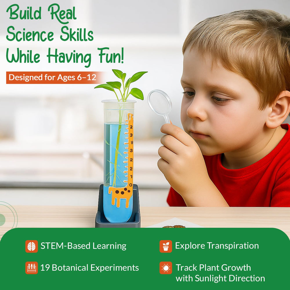 Wellegance Twigs kitchen seed sprouts demonstrate easy home growing.