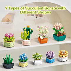 WEMEWEME Colorful decor kit adds life to desks and shelves.