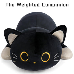 Wepop weighted cat toy blends decor with warmth for living rooms.