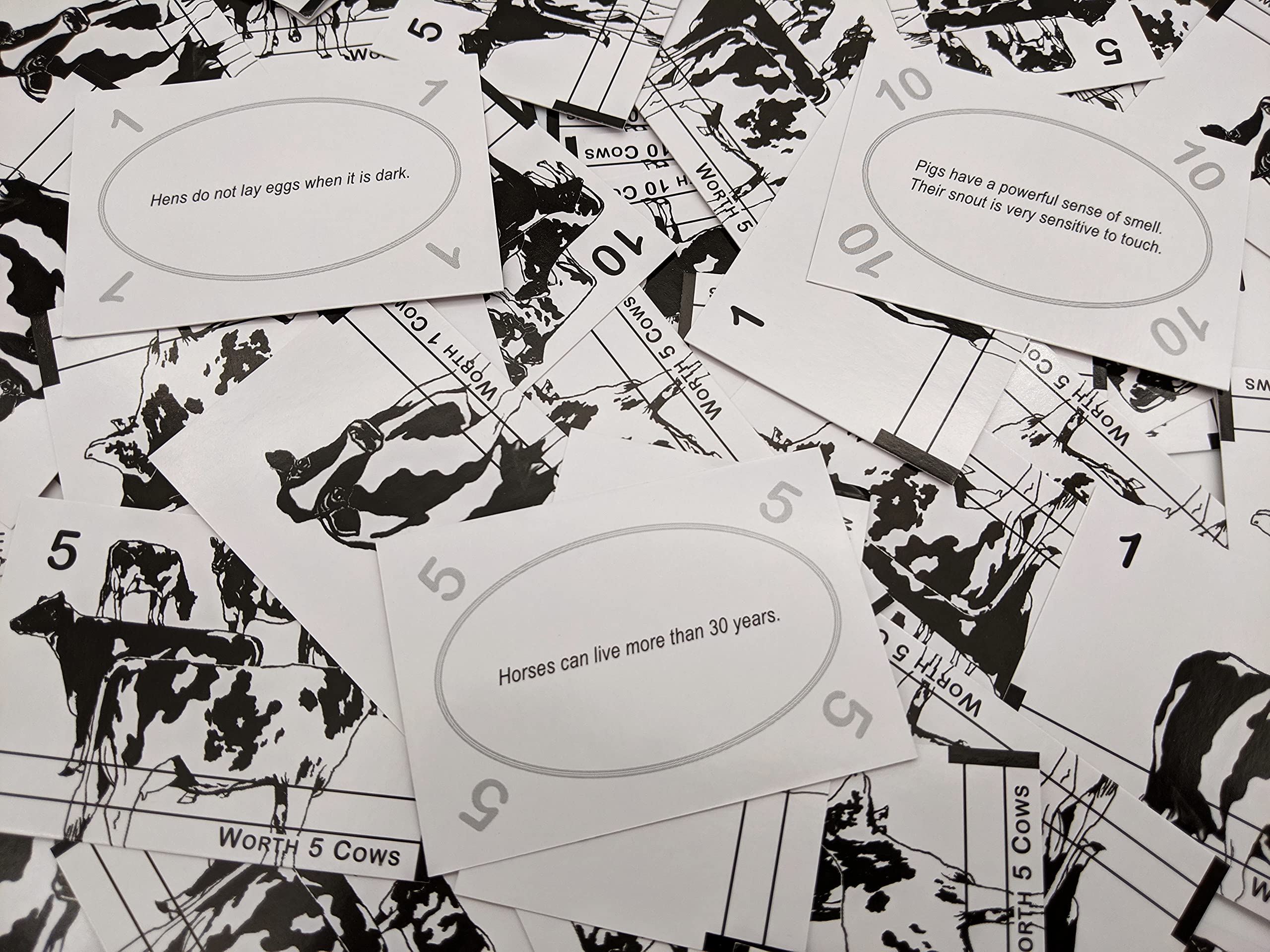 Life on the Farm cow cards reveal fun farm facts for kids.