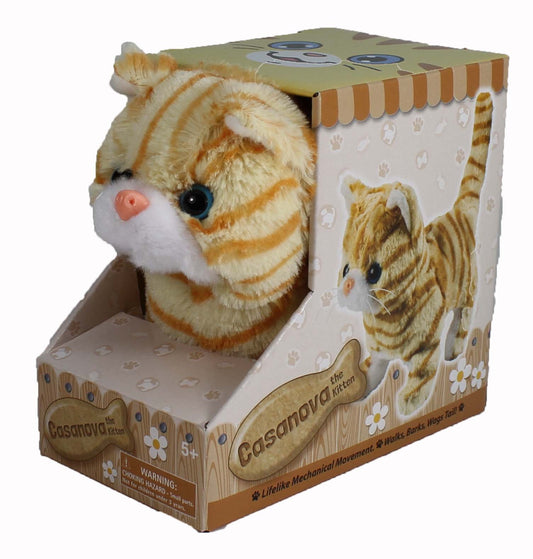 Westminster Casanova orange-striped kitten walking for imaginative play