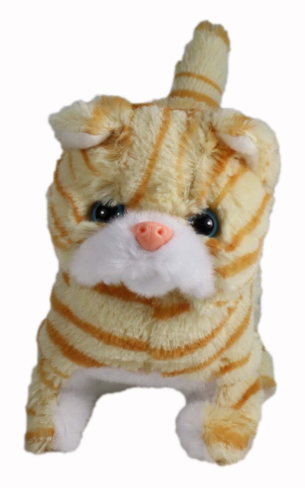 Westminster Casanova orange-striped kitten soft plush fur for cuddling