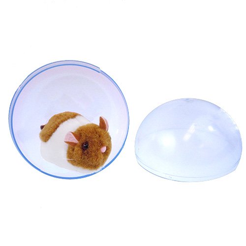 Westminster Happy Hamster activates with water in clear sphere for growth action